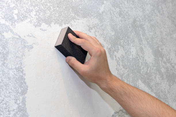 Best Forensic Mold Investigation  in Columbia, TN