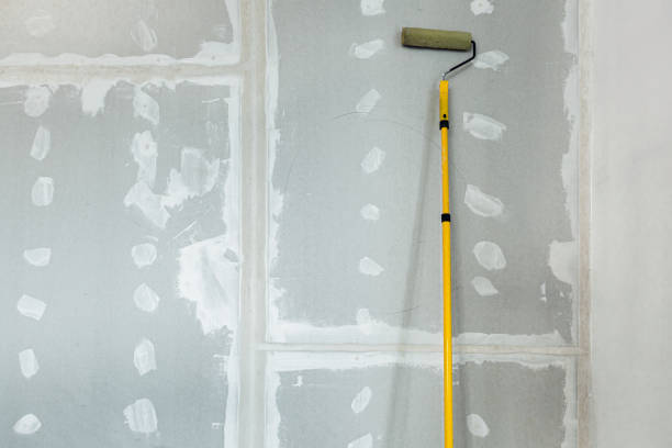 Trusted Columbia, TN Mold Removal Experts