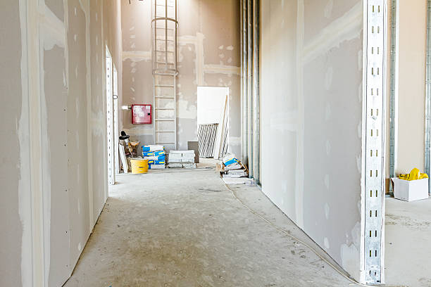 Best Black Mold Removal  in Columbia, TN