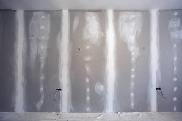 Best Mold Damage Restoration  in Columbia, TN
